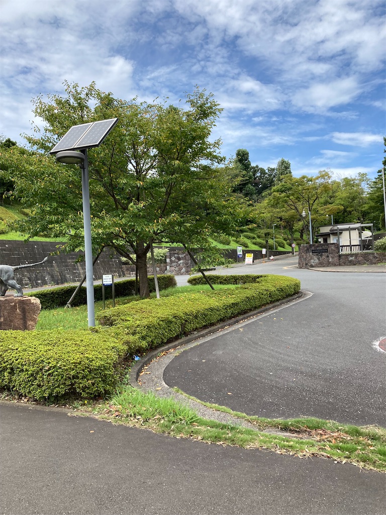 f:id:masaru-arameya:20210824061230j:image f:id:masaru-arameya:20210824061230j:image