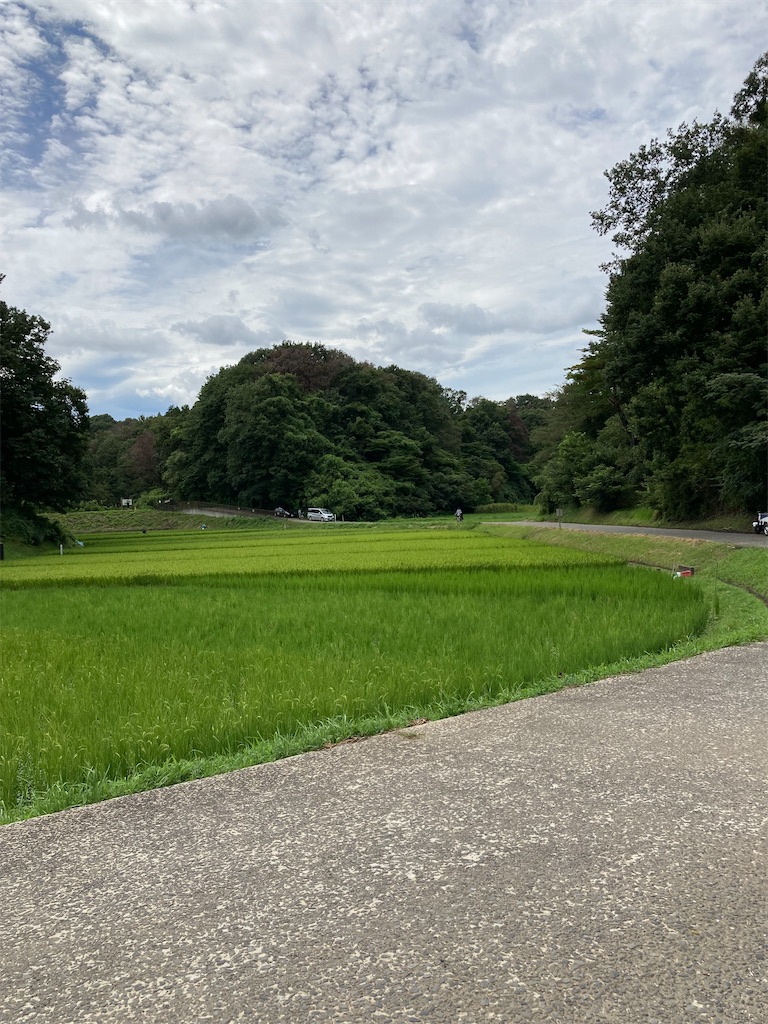 f:id:masaru-arameya:20210824061329j:image f:id:masaru-arameya:20210824061329j:image