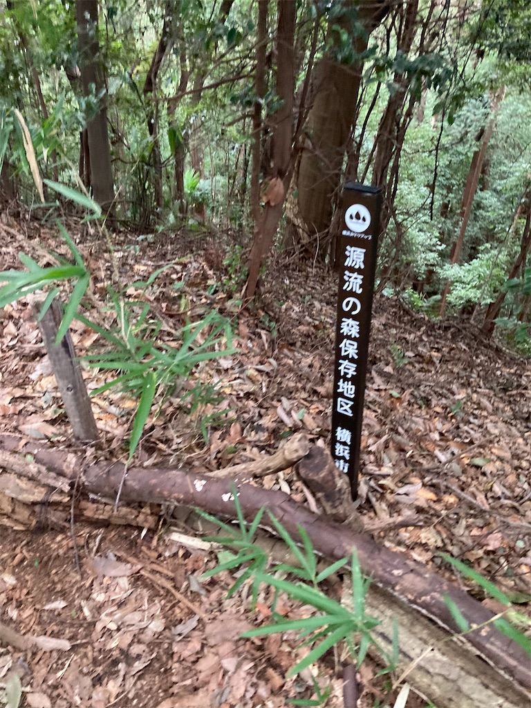 f:id:masaru-arameya:20210824081051j:image f:id:masaru-arameya:20210824081051j:image