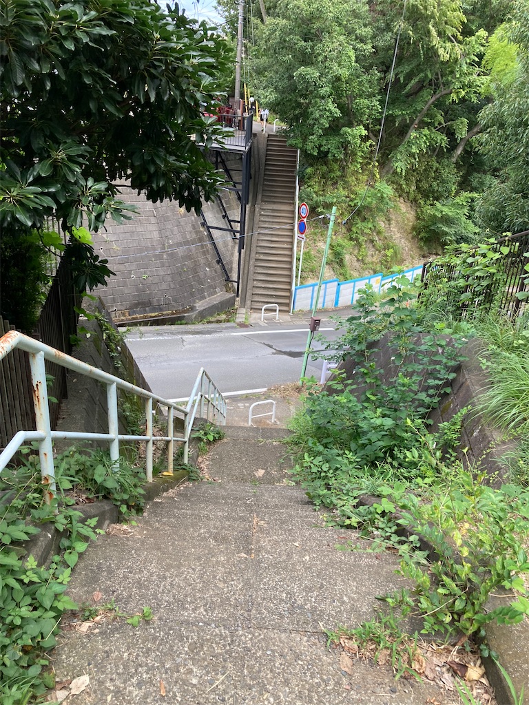 f:id:masaru-arameya:20210824082838j:image f:id:masaru-arameya:20210824082838j:image