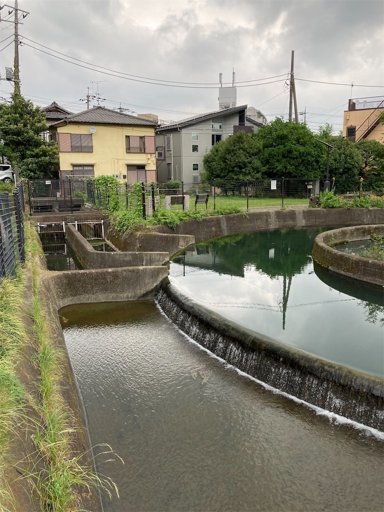 f:id:masaru-arameya:20210829115934j:image f:id:masaru-arameya:20210829115934j:image