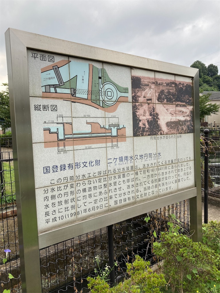 f:id:masaru-arameya:20210829120219j:image f:id:masaru-arameya:20210829120219j:image