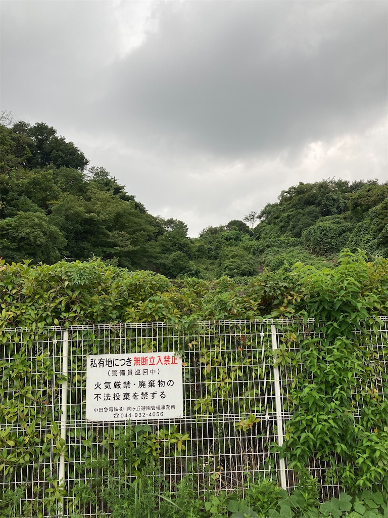 f:id:masaru-arameya:20210829120739j:image f:id:masaru-arameya:20210829120739j:image