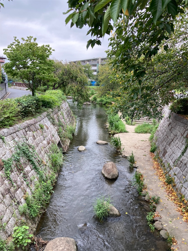 f:id:masaru-arameya:20210829121012j:image f:id:masaru-arameya:20210829121012j:image