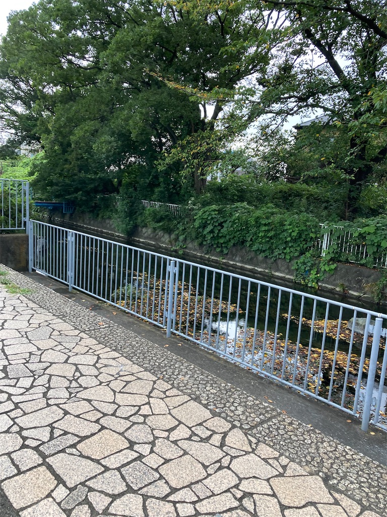 f:id:masaru-arameya:20210829121113j:image f:id:masaru-arameya:20210829121113j:image