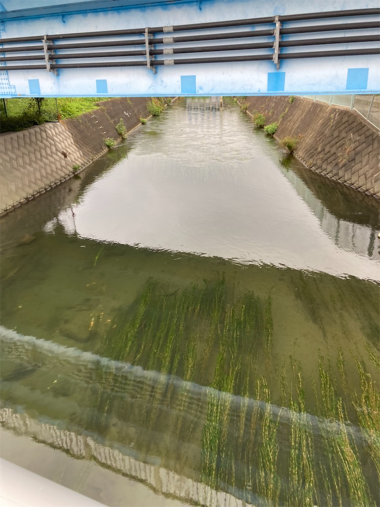 f:id:masaru-arameya:20210829121216j:image f:id:masaru-arameya:20210829121216j:image
