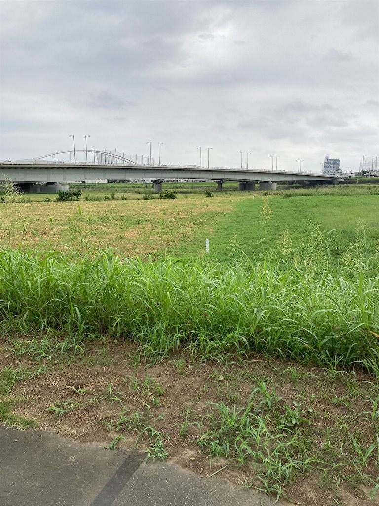f:id:masaru-arameya:20210829121359j:image f:id:masaru-arameya:20210829121359j:image