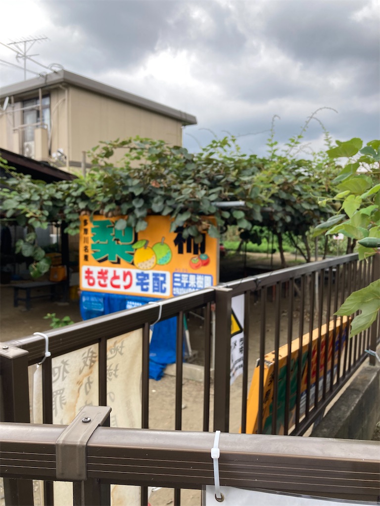 f:id:masaru-arameya:20210829121715j:image f:id:masaru-arameya:20210829121715j:image