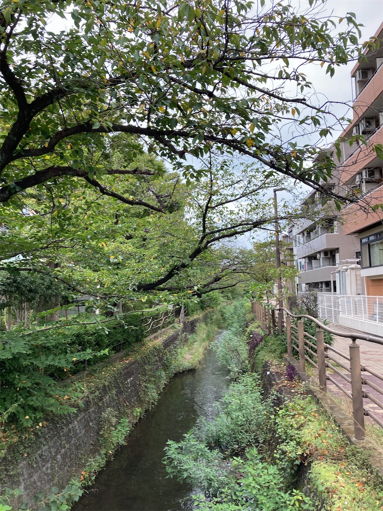 f:id:masaru-arameya:20210829161413j:image f:id:masaru-arameya:20210829161413j:image