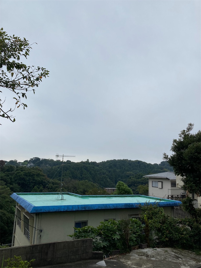 f:id:masaru-arameya:20210901143721j:image f:id:masaru-arameya:20210901143721j:image