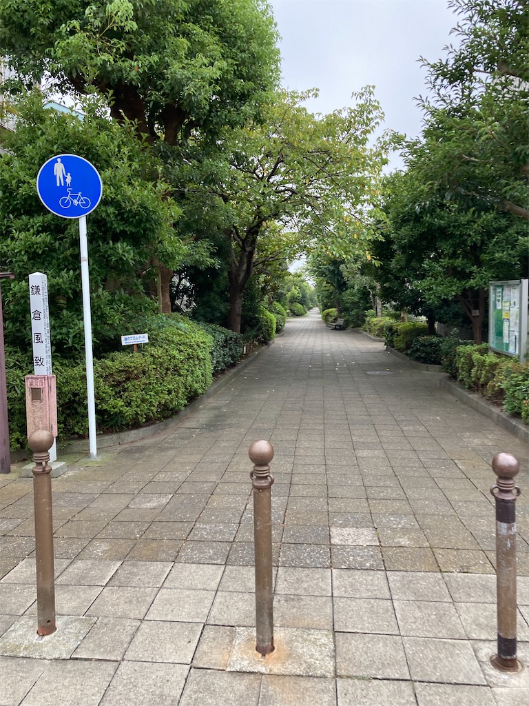 f:id:masaru-arameya:20210901144004j:image f:id:masaru-arameya:20210901144004j:image