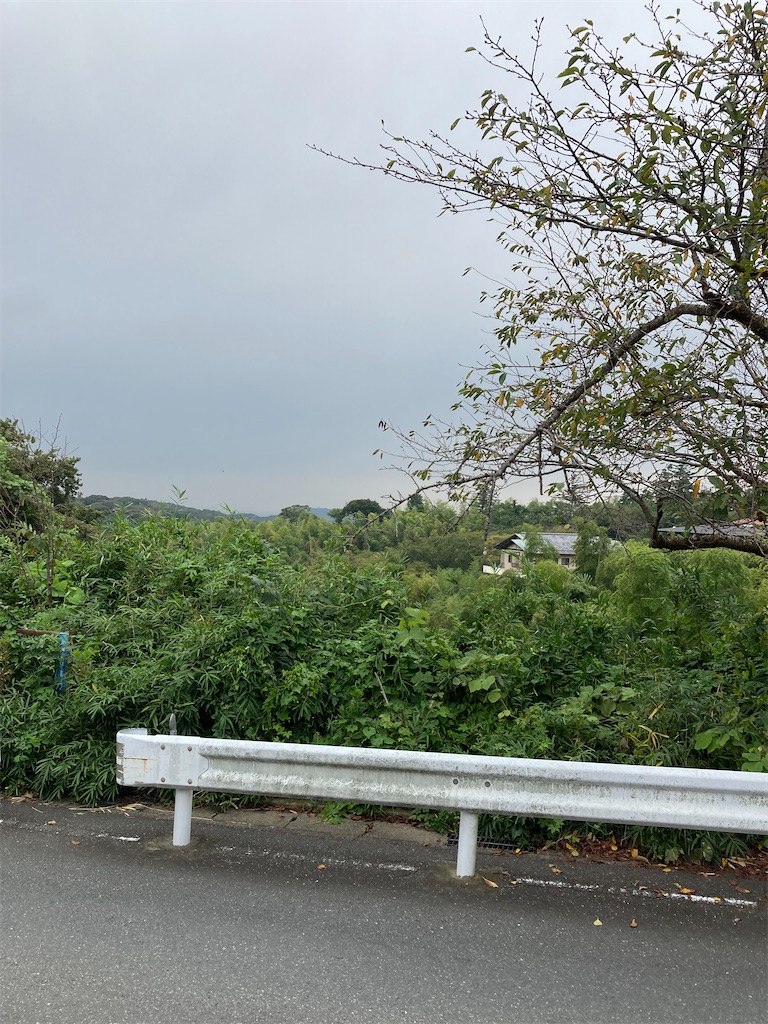 f:id:masaru-arameya:20210901200754j:image f:id:masaru-arameya:20210901200754j:image