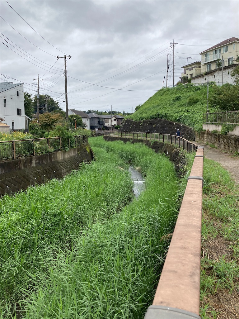 f:id:masaru-arameya:20210905144323j:image f:id:masaru-arameya:20210905144323j:image