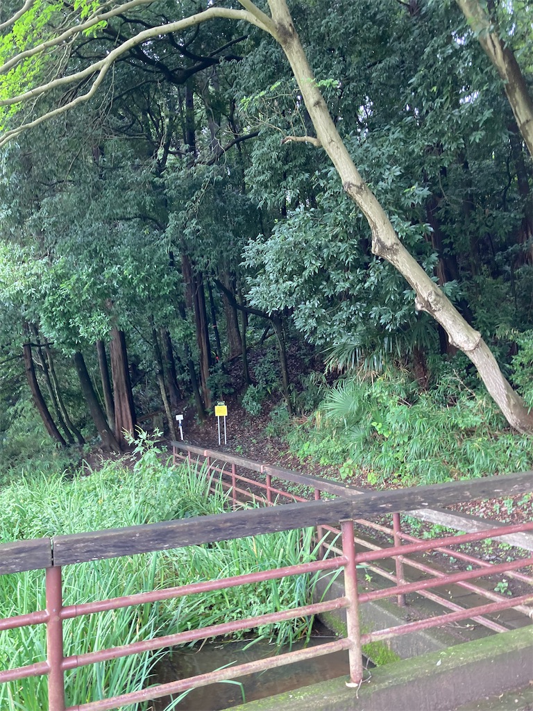 f:id:masaru-arameya:20210905144817j:image f:id:masaru-arameya:20210905144817j:image
