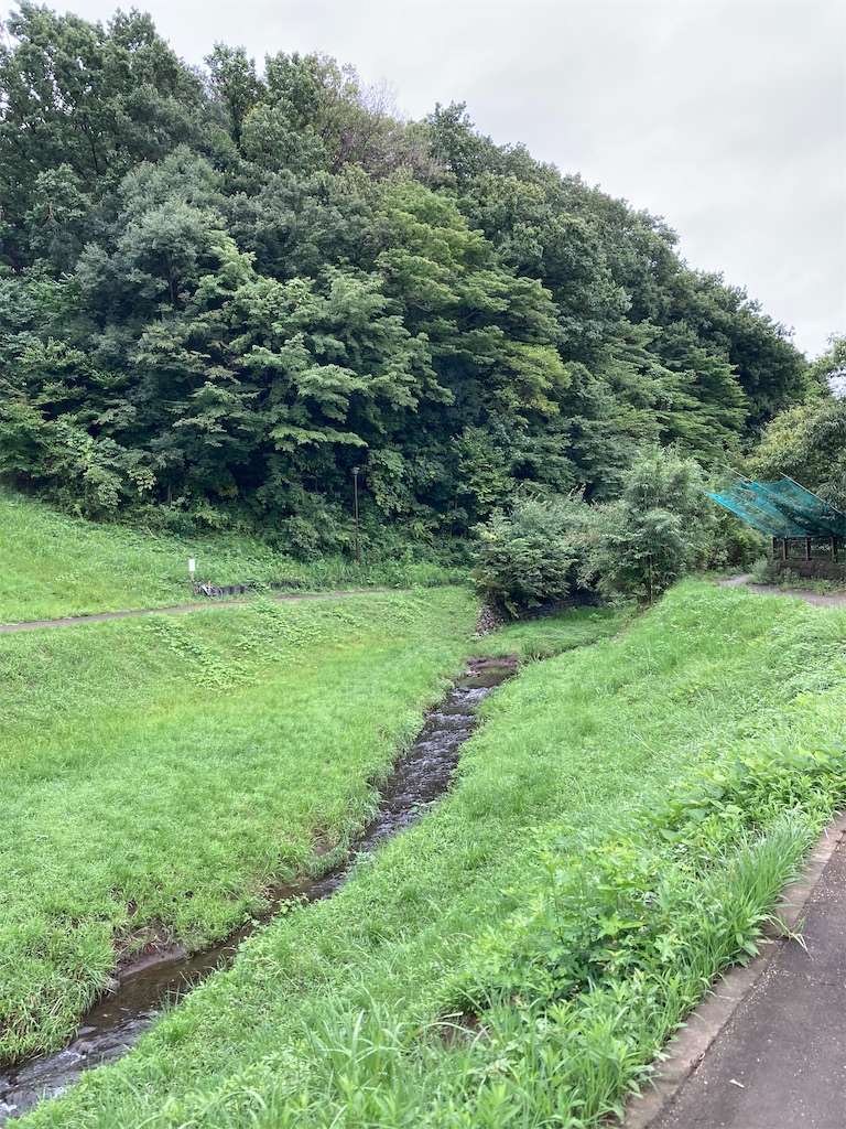 f:id:masaru-arameya:20210905194953j:image f:id:masaru-arameya:20210905194953j:image