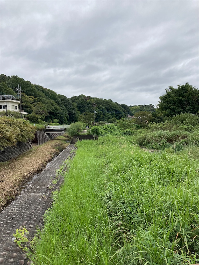 f:id:masaru-arameya:20210905194956j:image f:id:masaru-arameya:20210905194956j:image