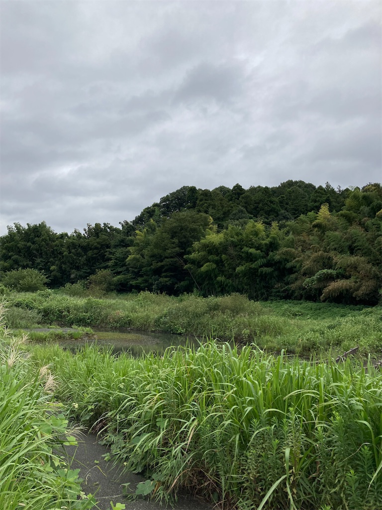 f:id:masaru-arameya:20210905194959j:image f:id:masaru-arameya:20210905194959j:image