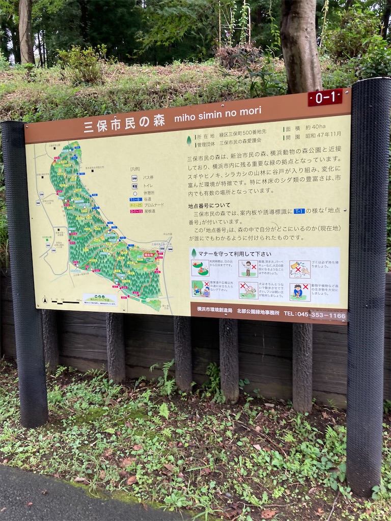 f:id:masaru-arameya:20210905195039j:image f:id:masaru-arameya:20210905195039j:image