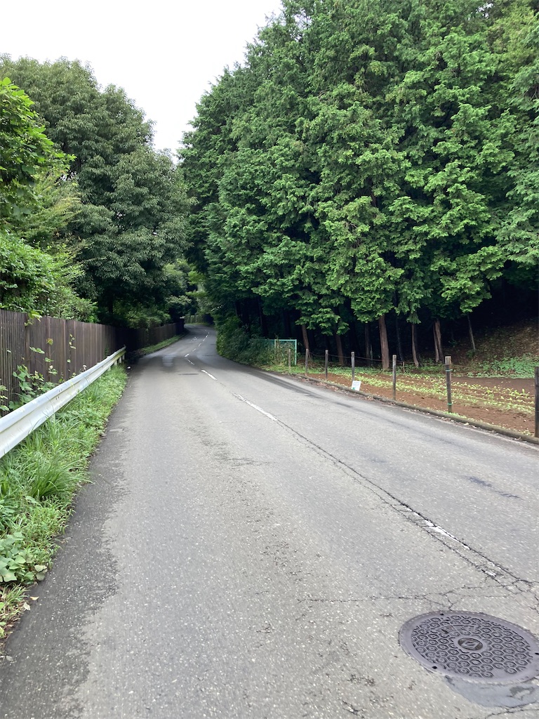 f:id:masaru-arameya:20210905195216j:image f:id:masaru-arameya:20210905195216j:image