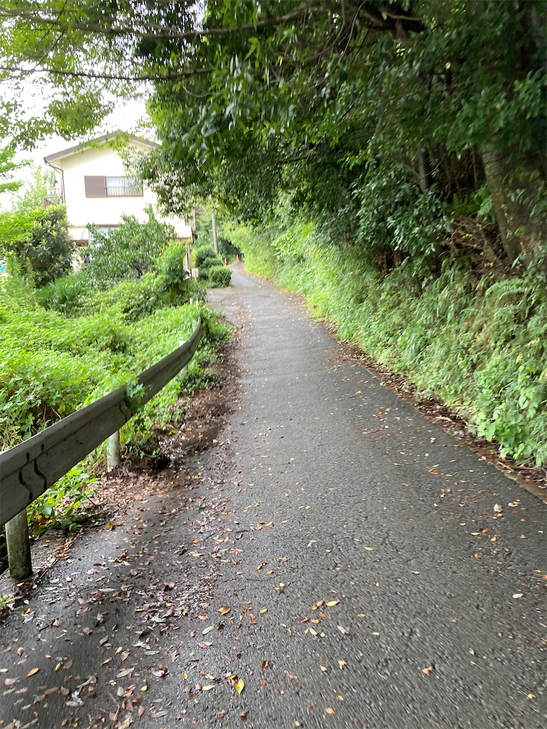 f:id:masaru-arameya:20210905195219j:image f:id:masaru-arameya:20210905195219j:image