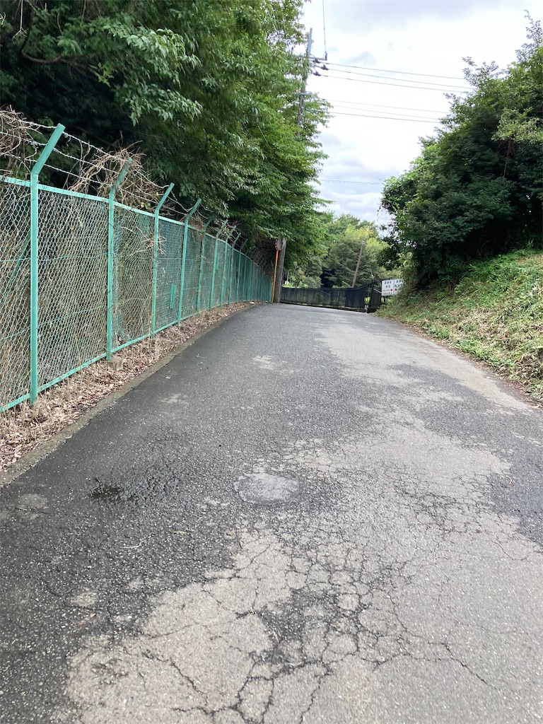 f:id:masaru-arameya:20210905200643j:image f:id:masaru-arameya:20210905200643j:image