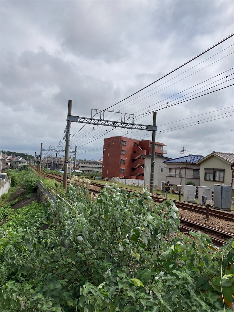 f:id:masaru-arameya:20210905201321j:image f:id:masaru-arameya:20210905201321j:image