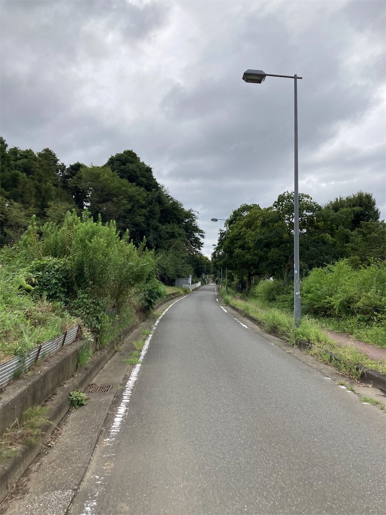 f:id:masaru-arameya:20210905204144j:image f:id:masaru-arameya:20210905204144j:image
