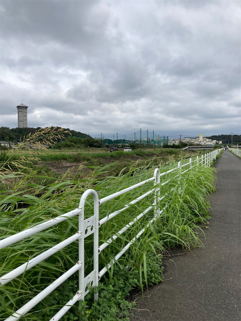 f:id:masaru-arameya:20210905204402j:image f:id:masaru-arameya:20210905204402j:image