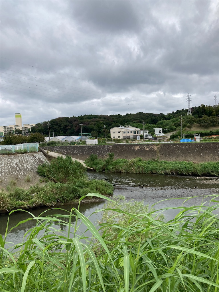 f:id:masaru-arameya:20210905204406j:image f:id:masaru-arameya:20210905204406j:image