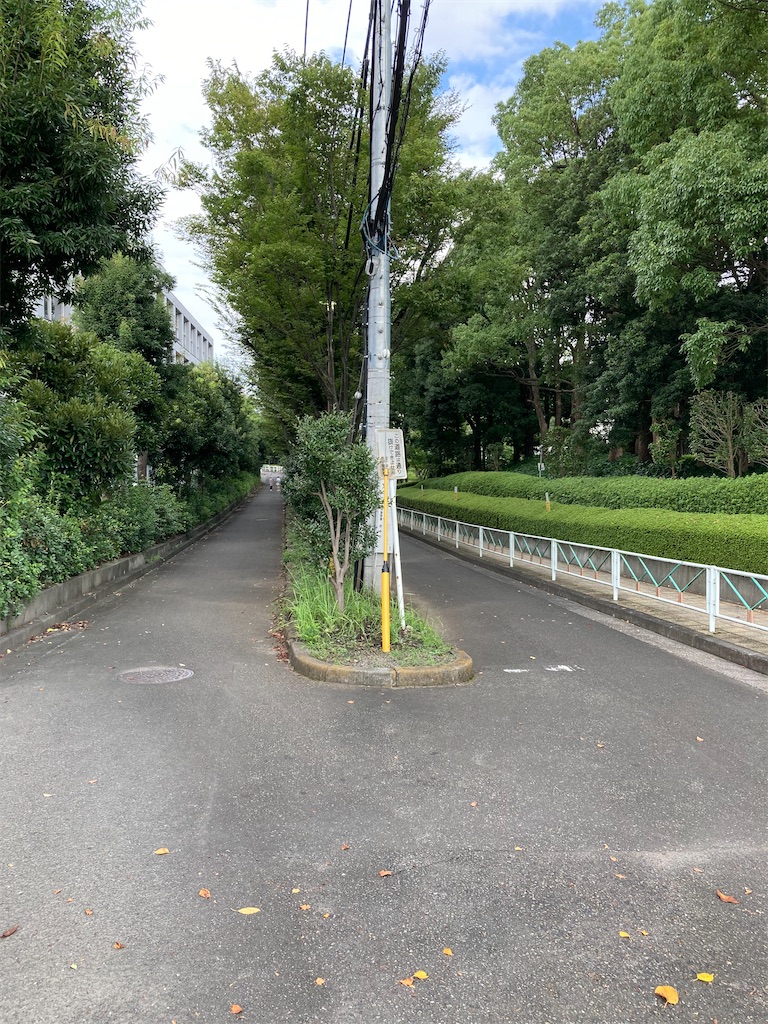 f:id:masaru-arameya:20210908195331j:image f:id:masaru-arameya:20210908195331j:image