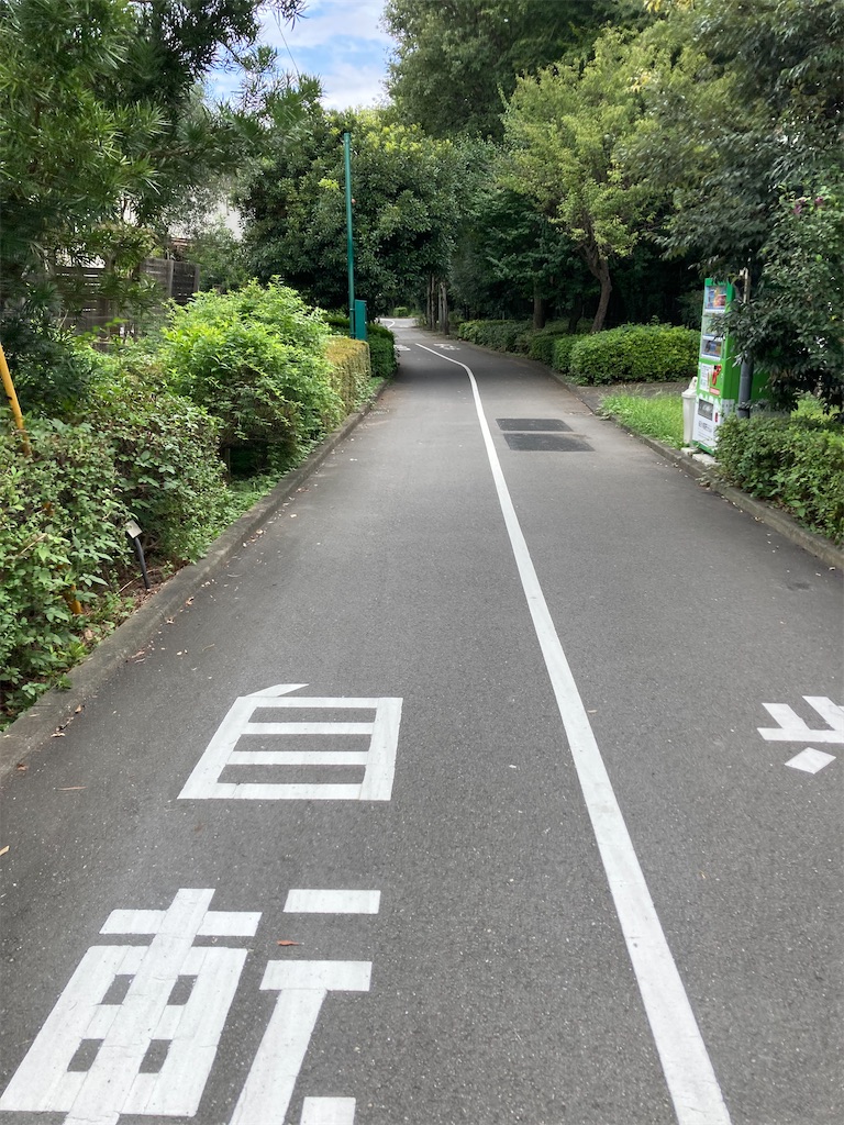 f:id:masaru-arameya:20210908195719j:image f:id:masaru-arameya:20210908195719j:image