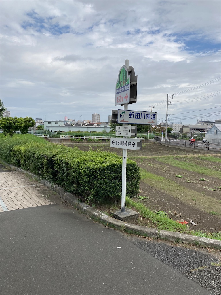 f:id:masaru-arameya:20210908195722j:image f:id:masaru-arameya:20210908195722j:image