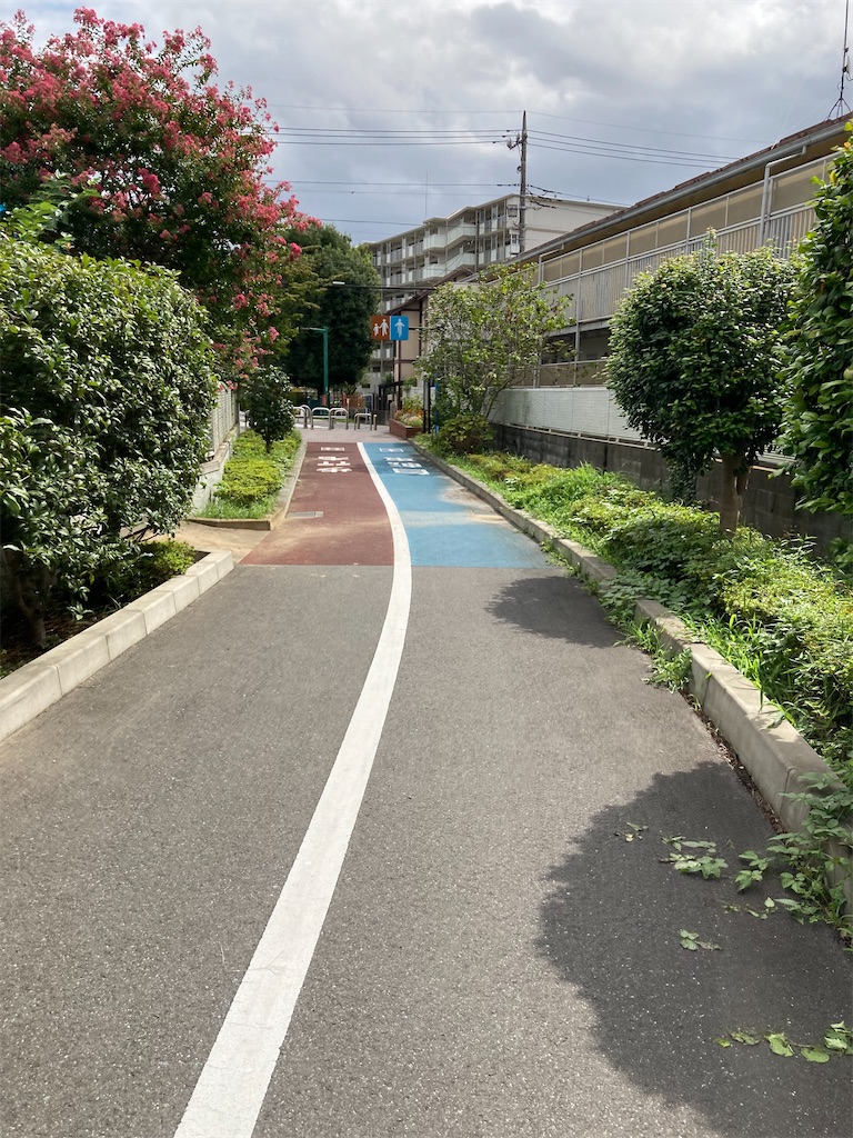 f:id:masaru-arameya:20210908200008j:image f:id:masaru-arameya:20210908200008j:image