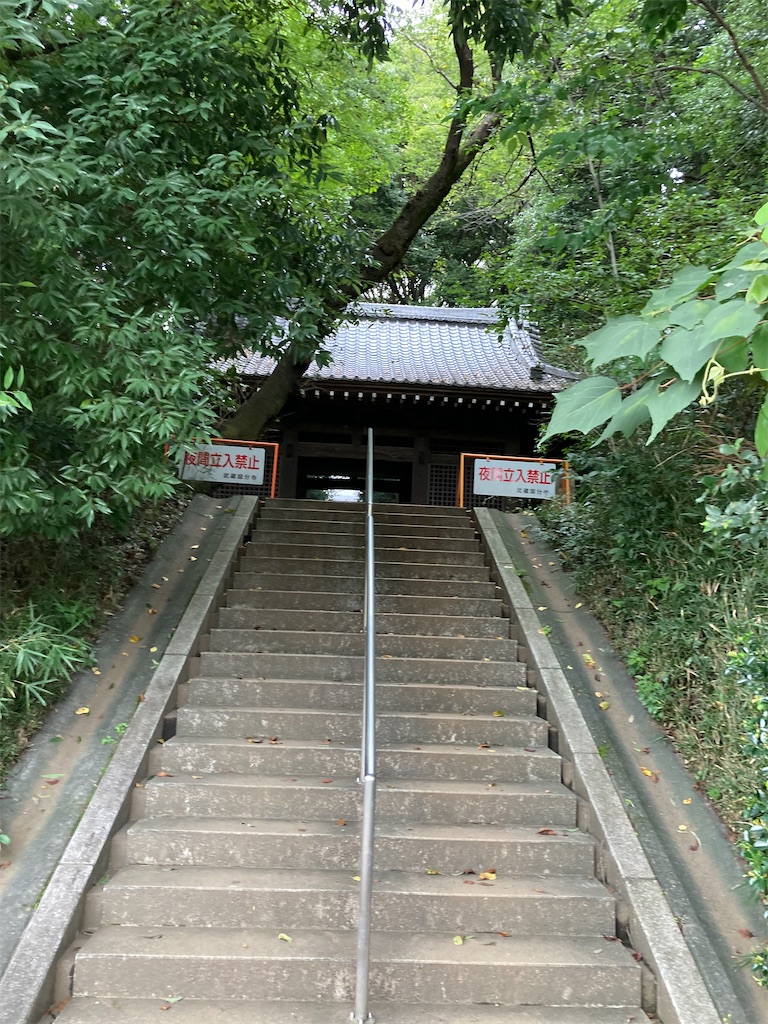 f:id:masaru-arameya:20210908202121j:image f:id:masaru-arameya:20210908202121j:image