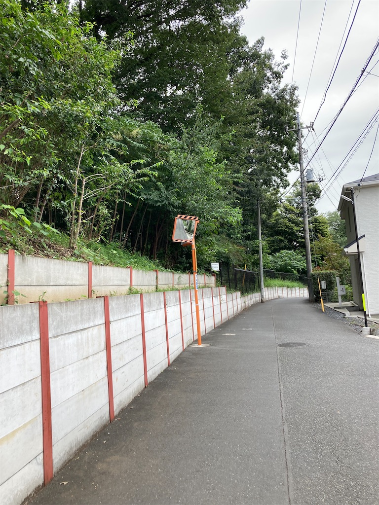 f:id:masaru-arameya:20210908202305j:image f:id:masaru-arameya:20210908202305j:image