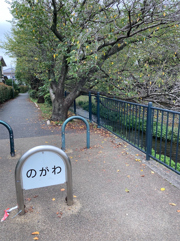 f:id:masaru-arameya:20210908202308j:image f:id:masaru-arameya:20210908202308j:image