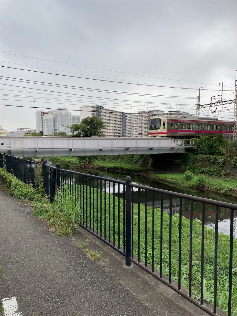 f:id:masaru-arameya:20210908202712j:image f:id:masaru-arameya:20210908202712j:image