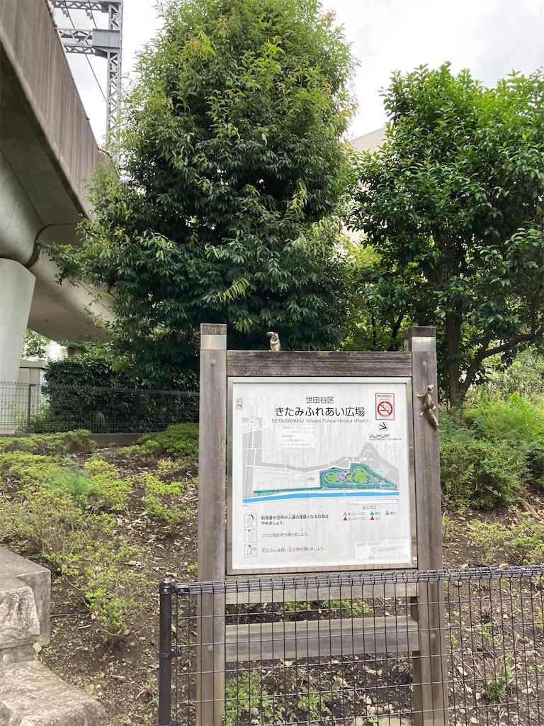 f:id:masaru-arameya:20210908202758j:image f:id:masaru-arameya:20210908202758j:image