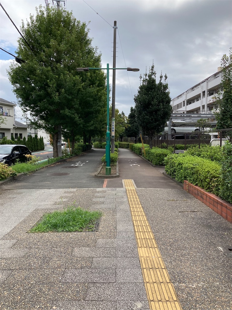 f:id:masaru-arameya:20210909135827j:image f:id:masaru-arameya:20210909135827j:image