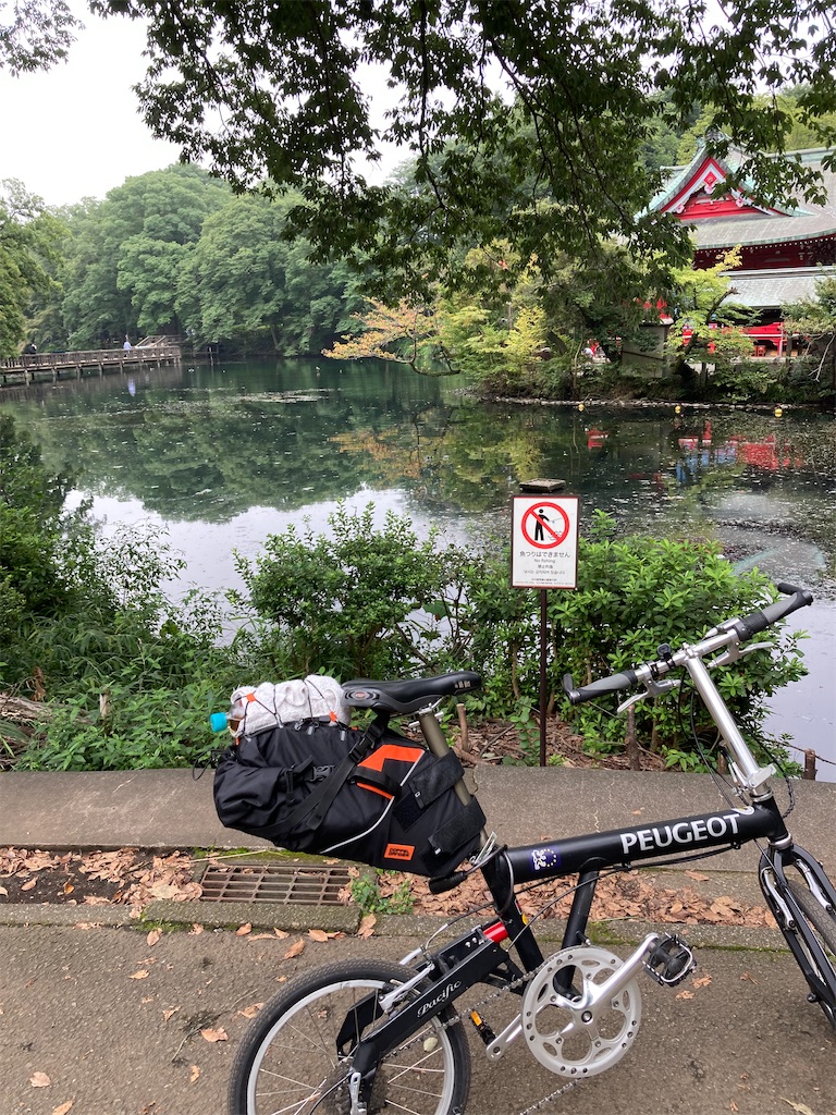 f:id:masaru-arameya:20210913142925j:image f:id:masaru-arameya:20210913142925j:image