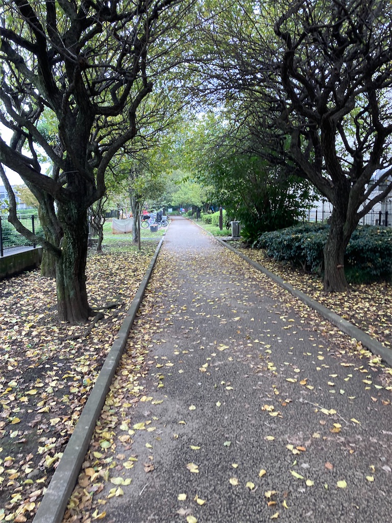 f:id:masaru-arameya:20210913143402j:image f:id:masaru-arameya:20210913143402j:image