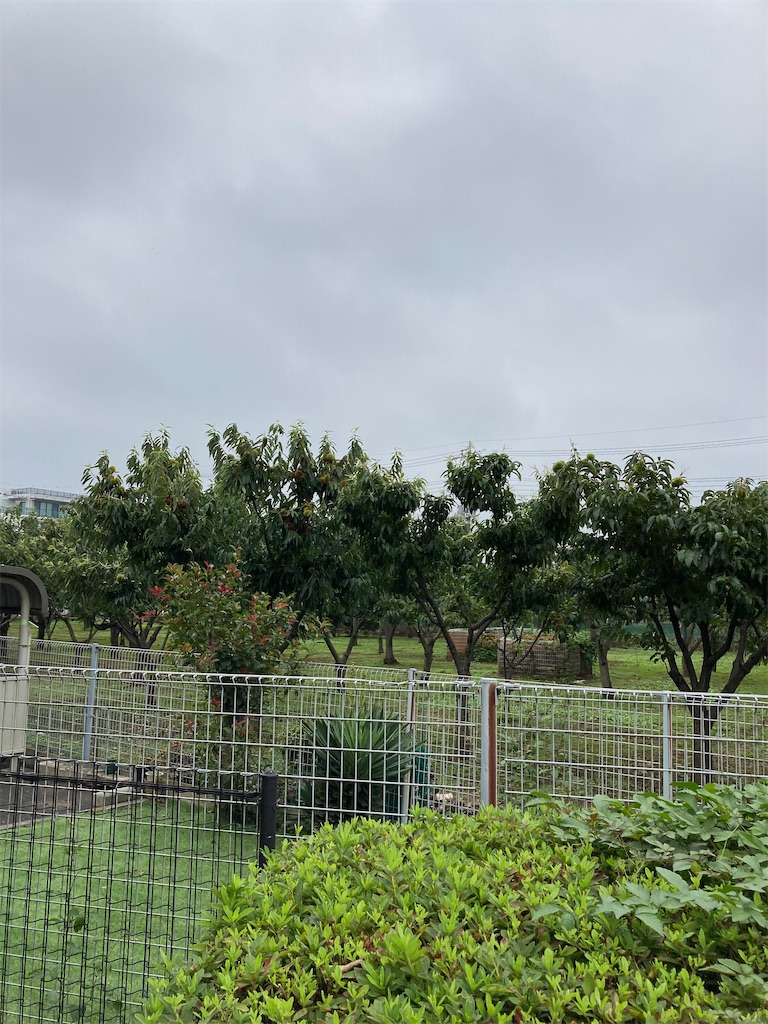 f:id:masaru-arameya:20210913143410j:image f:id:masaru-arameya:20210913143410j:image