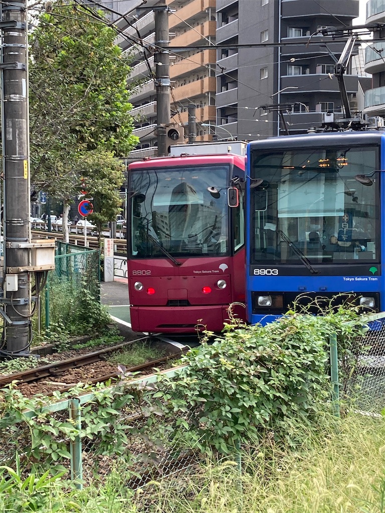 f:id:masaru-arameya:20210913165955j:image f:id:masaru-arameya:20210913165955j:image