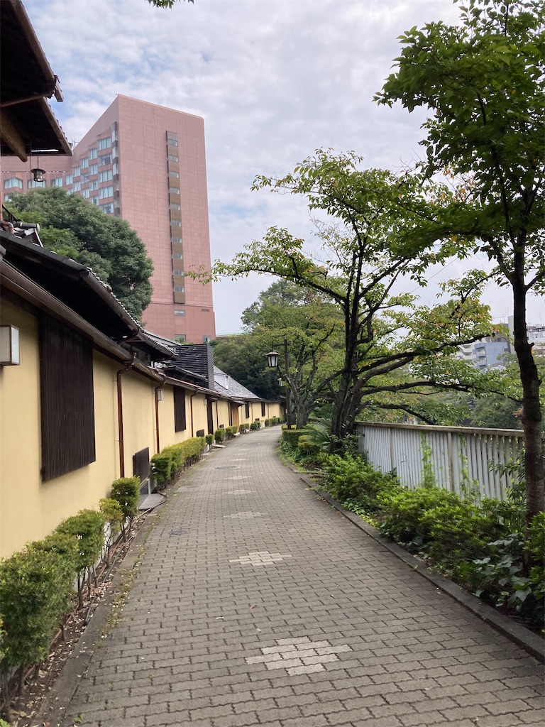 f:id:masaru-arameya:20210913170122j:image f:id:masaru-arameya:20210913170122j:image