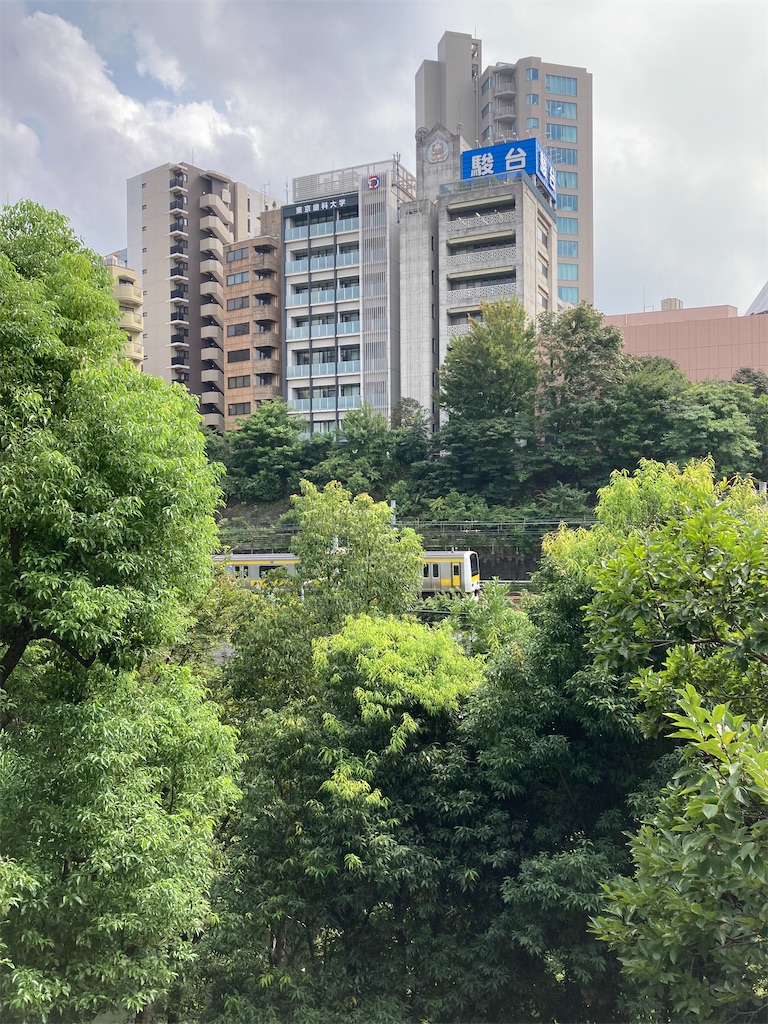 f:id:masaru-arameya:20210913170352j:image f:id:masaru-arameya:20210913170352j:image