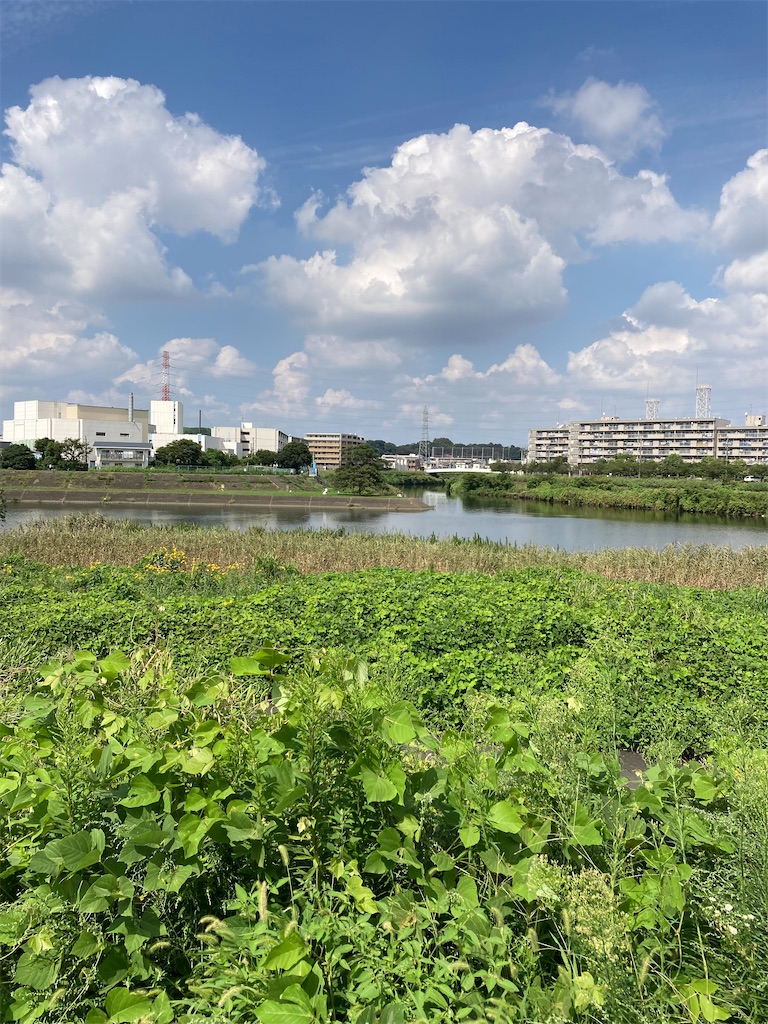f:id:masaru-arameya:20210915133913j:image f:id:masaru-arameya:20210915133913j:image