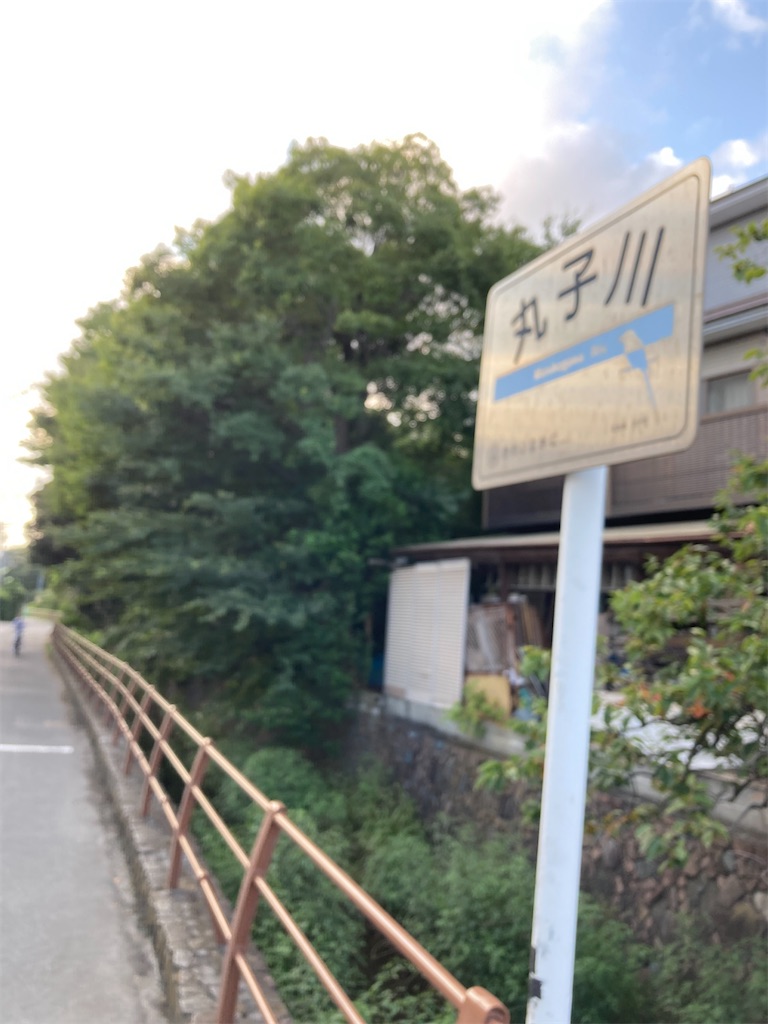 f:id:masaru-arameya:20210916215500j:image f:id:masaru-arameya:20210916215500j:image