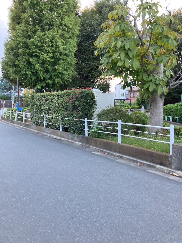 f:id:masaru-arameya:20210916220210j:image f:id:masaru-arameya:20210916220210j:image
