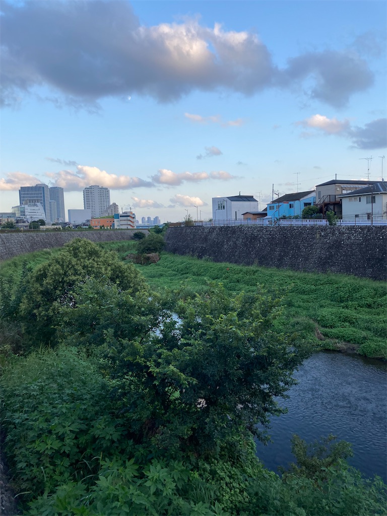 f:id:masaru-arameya:20210917142530j:image f:id:masaru-arameya:20210917142530j:image