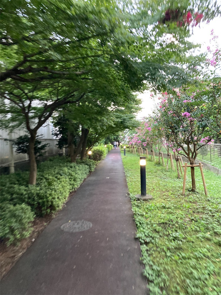 f:id:masaru-arameya:20210917144940j:image f:id:masaru-arameya:20210917144940j:image